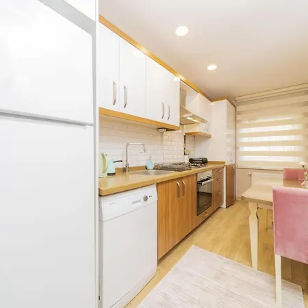 Full Furnished Spacious Flat In Antalya